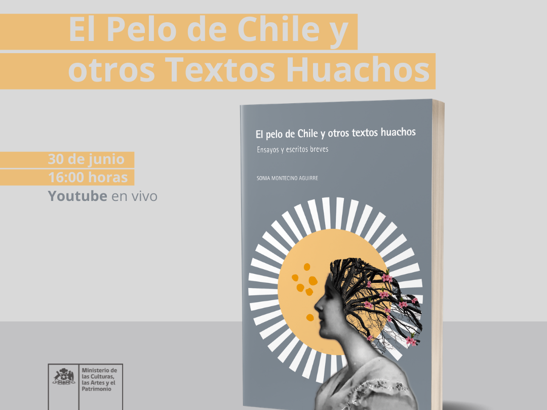 Libro El Pelo de Chile y  otros Textos Huachos